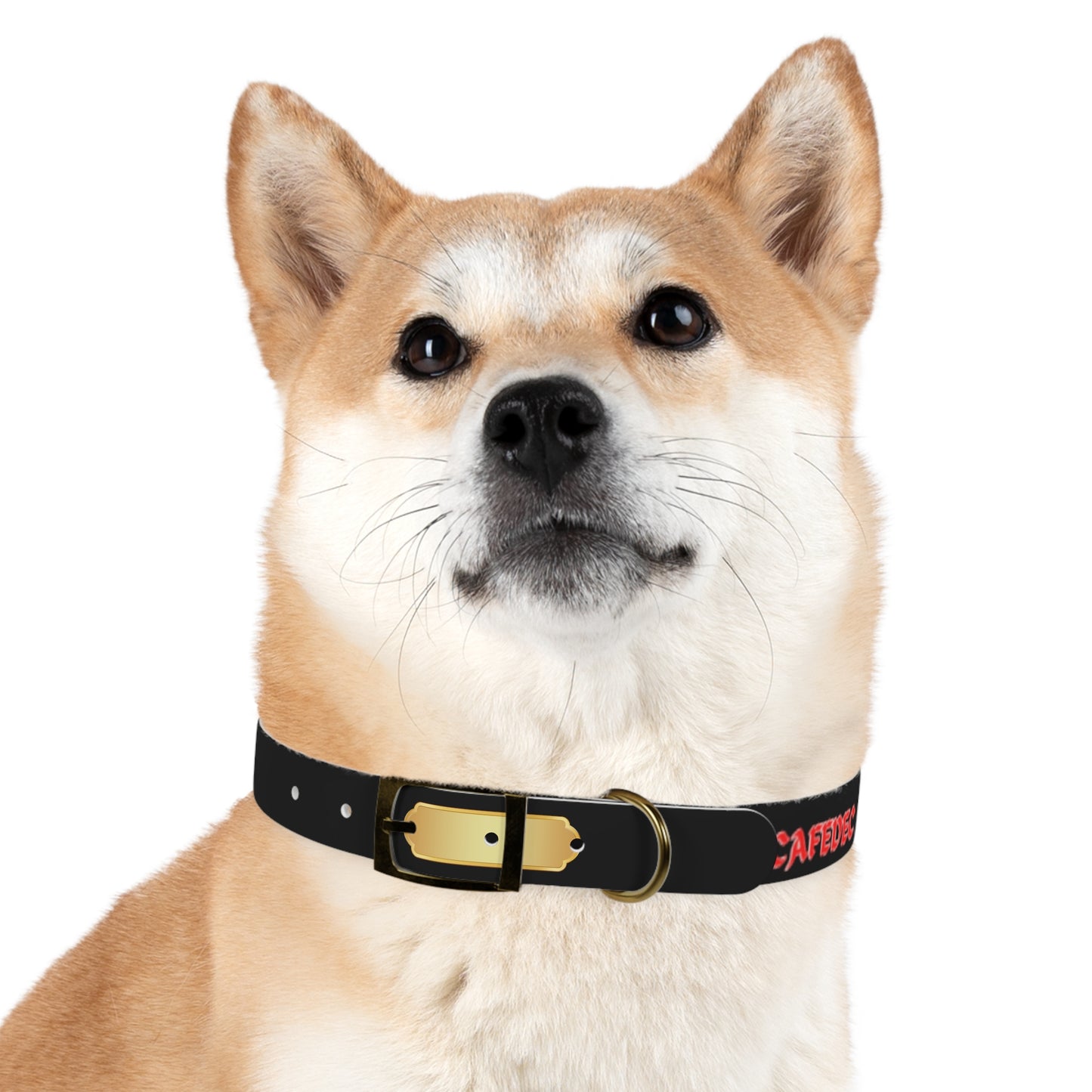 Dog Collar PR